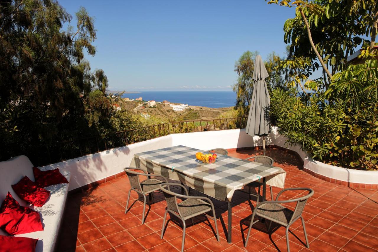 Parasol - Finca Tabaiba By Tor Icod De Los Vinos Exterior photo